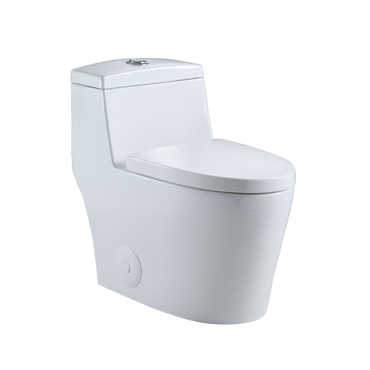 Savona Dual Flush Elongated One-Piece Toilet (Seat Included)